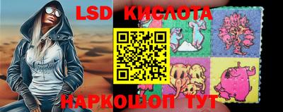 Альфа ПВП Кандалакша