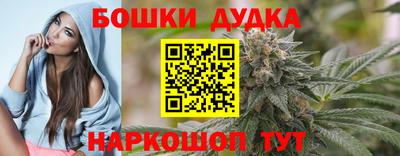 Альфа ПВП Кандалакша