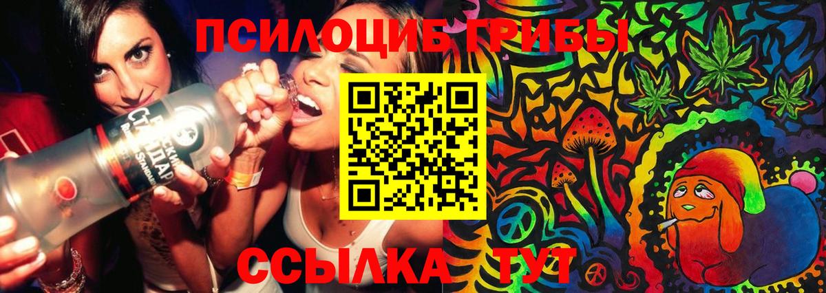 Галлюциногенные грибы Cubensis Кудрово